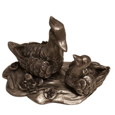 Mandarin Ördekleri – Aşkın ve Uyunun Sembolü